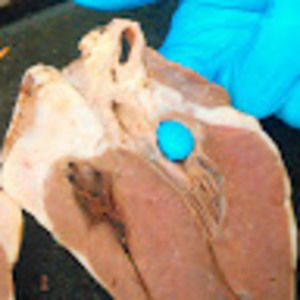 Meet your Posher, Kathryn